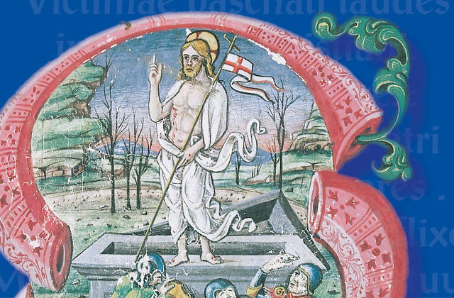 Paschalia   foto neutra